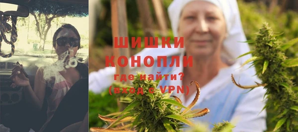 хмурый Новозыбков