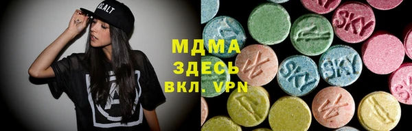 хмурый Новозыбков
