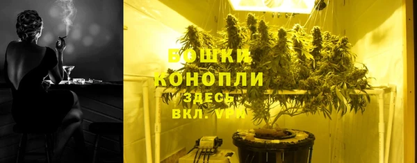хмурый Новозыбков