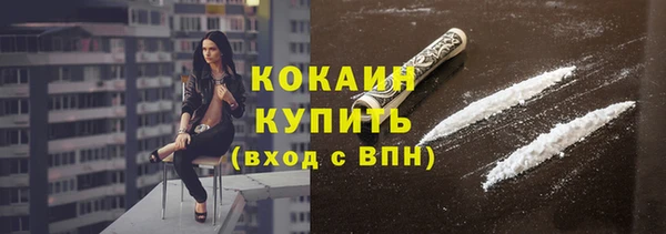 альфа пвп Новодвинск