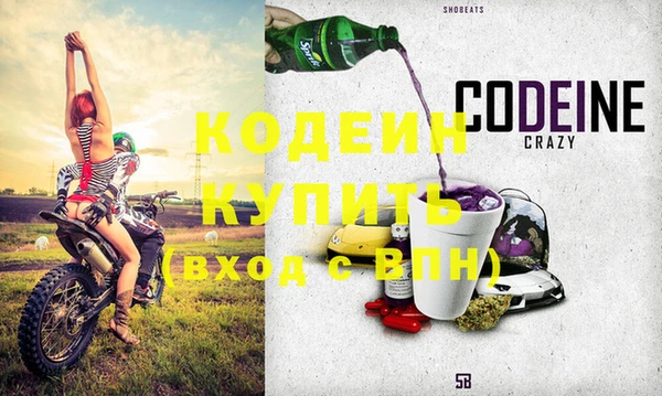 альфа пвп Новодвинск