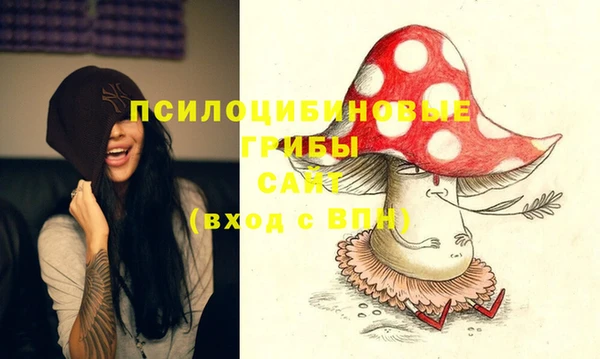 хмурый Новозыбков