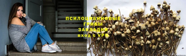 хмурый Новозыбков