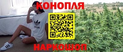 гидропоника Заводоуковск