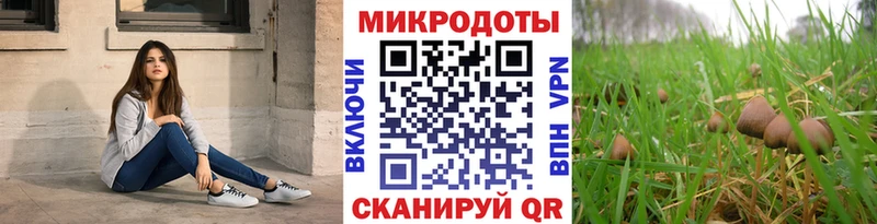 где купить наркоту  Приморско-Ахтарск  Галлюциногенные грибы Magic Shrooms 